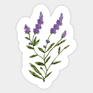 Lavender isn't it? Sticker